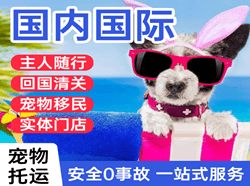 鸡西兴凯湖机场货运国际宠物托运 【国